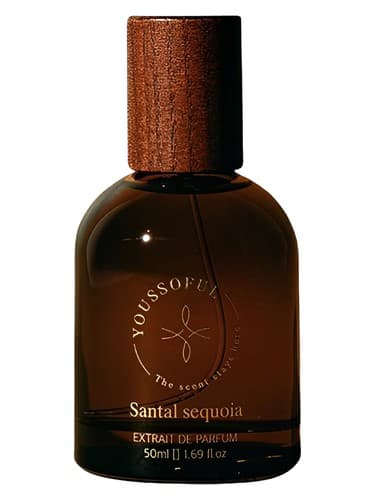 Santal Sequoia by Youssoful bottle