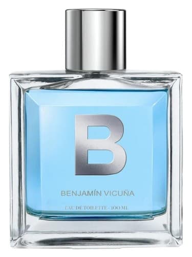 B by Benjamin Vicuña bottle