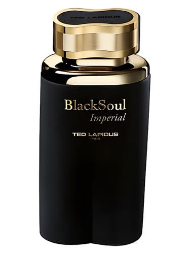 BlackSoul Imperial by Ted Lapidus bottle
