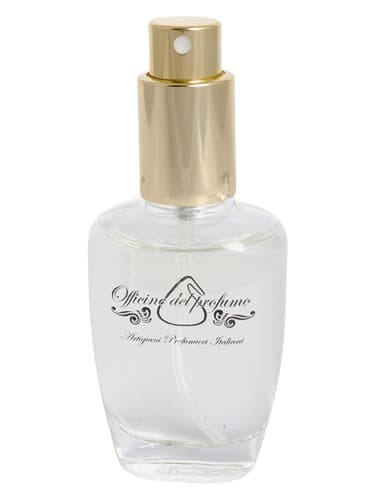 Mandarino e Spezie by Officine del Profumo bottle