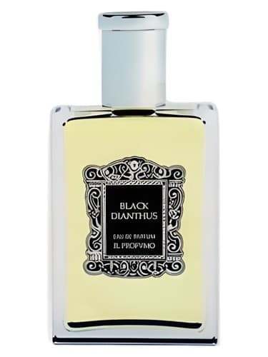 Black Dianthus by Il Profvmo bottle