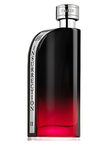 Insurrection II Dark by Reyane Tradition bottle