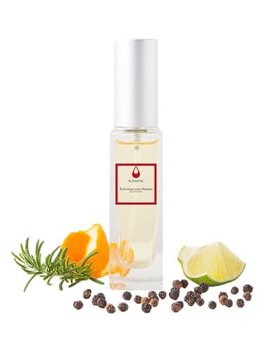 Eclectique Pour Homme by FL Parfums bottle