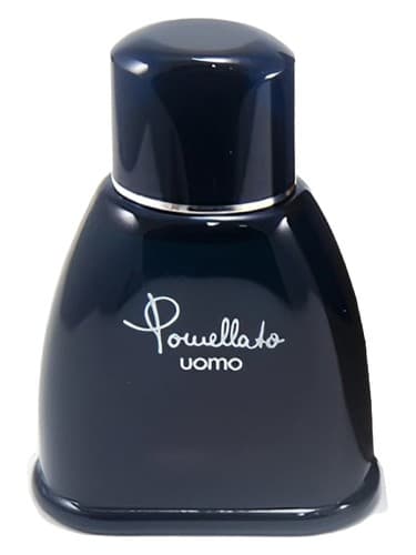 Pomellato Uomo by Pomellato bottle