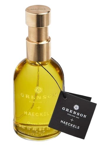 Queen Street by Haeckels bottle