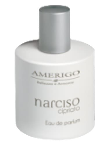 Narciso Cipriato by Amerigo bottle