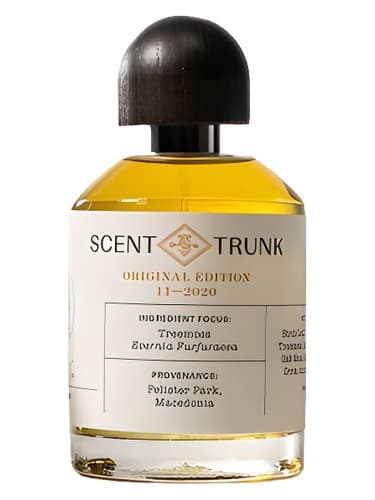 Treemoss by Scent Trunk bottle