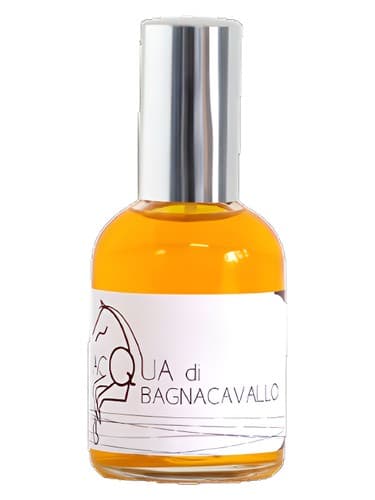 Acqua di Bagnacavallo by Olfattiva bottle