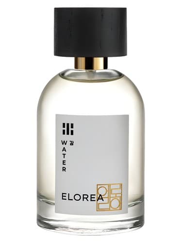 WATER (감)| 향수 by ELOREA | 향수 bottle
