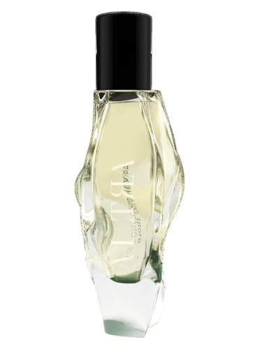 Stone Cold Heart by Altra bottle