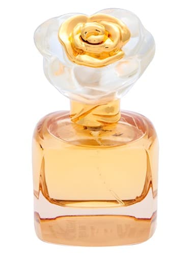 Spontaneous Confidence by Rose Rossa bottle