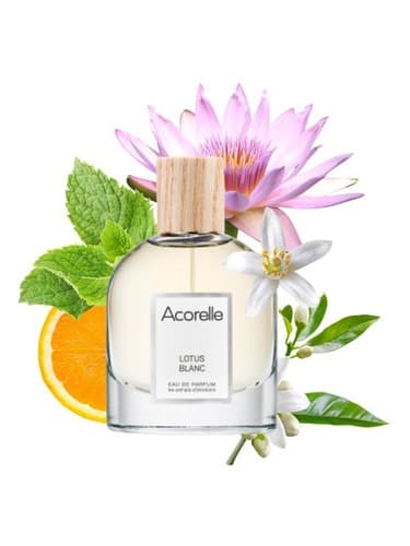 Lotus Blanc by Acorelle bottle