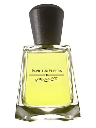 Esprit de Fleurs by Frapin bottle