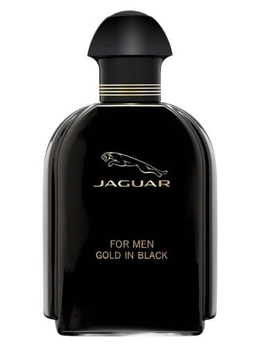 Jaguar for Men Gold in Black by Jaguar bottle